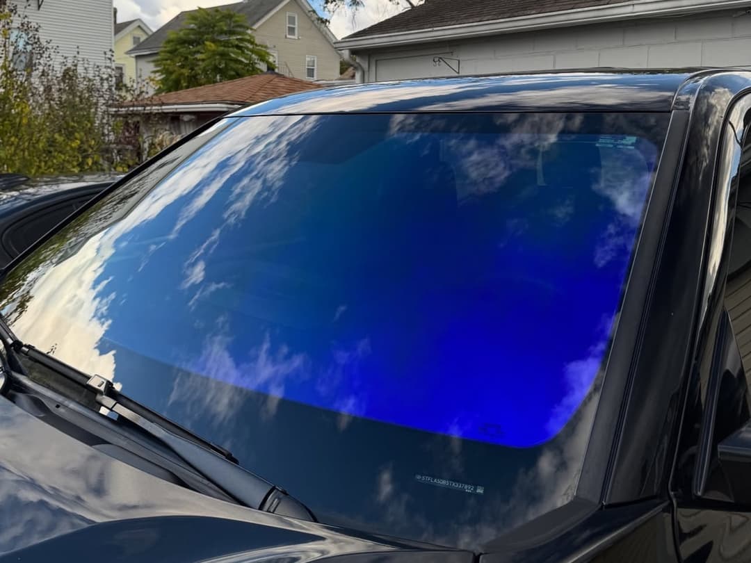Blue chameleon