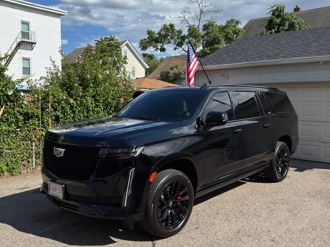 Automotive Tint