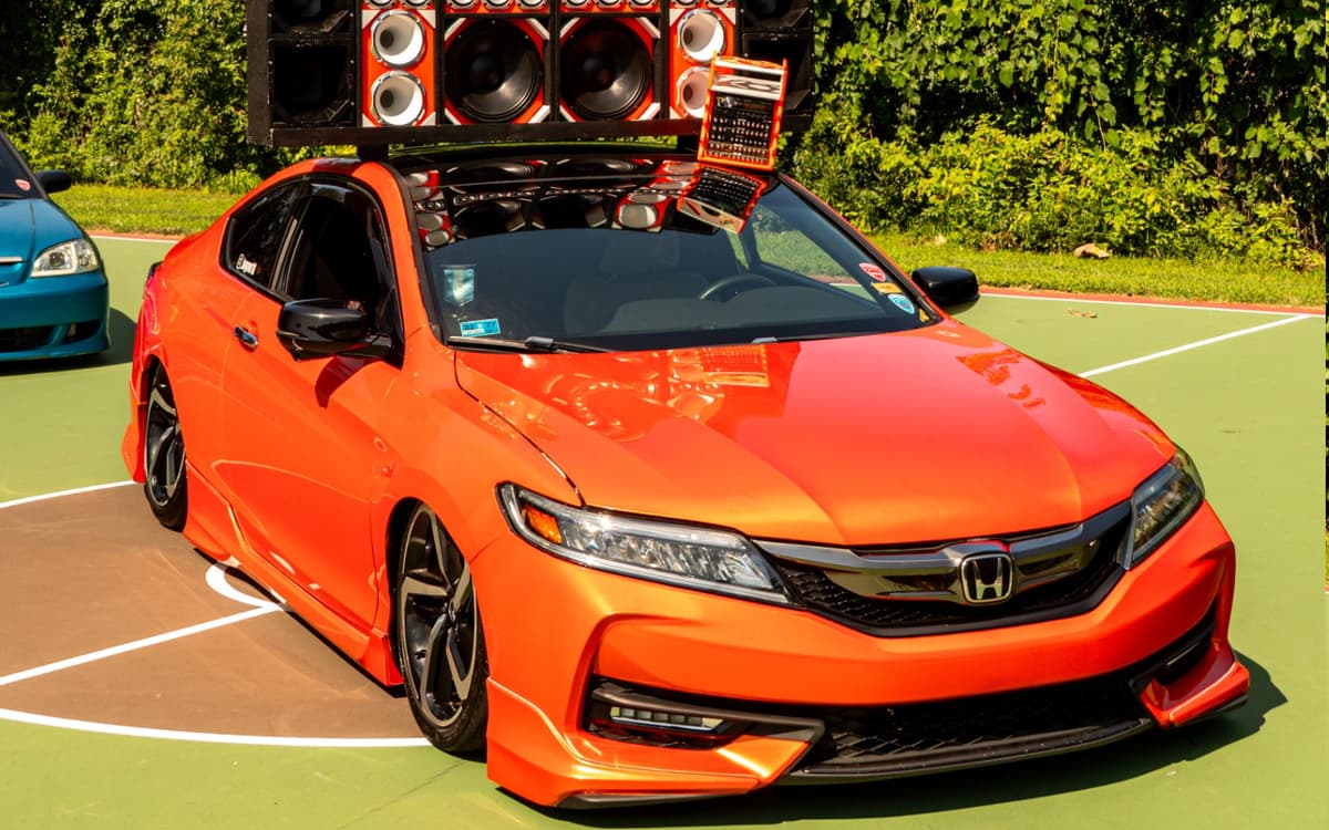 Vinyl Wraps