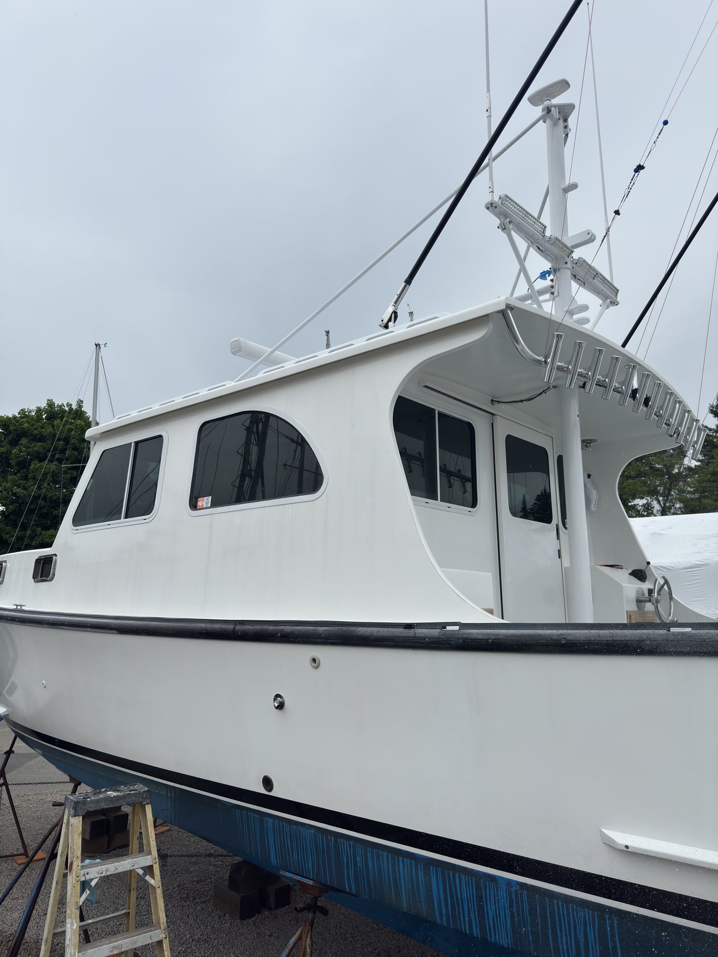 Sportfish cabin tint
